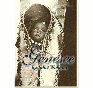 bookcover - Genesee by Juliet Waldron