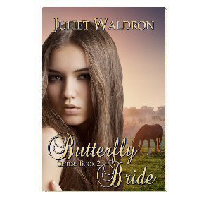 Butterfly Bride cover