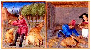 illustration from the Agricultural calendar from a manuscript of Pietro Crescenzi, Mus�e Cond�, Chantilly, Written c. 1306 century; this manuscript 15th century