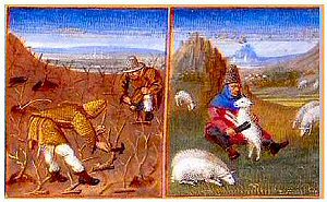 another illustration from the Agricultural calendar from a manuscript of Pietro Crescenzi, Mus�e Cond�, Chantilly, Written c. 1306 century; this manuscript 15th century