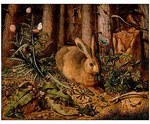 Hans Hoffmann, Hare in the forest, 1585